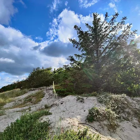 Сasa de vacaciones 15 Person In Hals-by Traum Hals