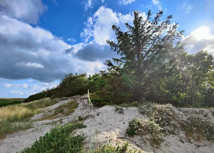 Semesterbostad 15 Person In Hals-by Traum Hals