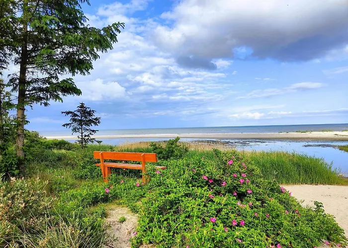 Semesterbostad 15 Person In Hals-by Traum