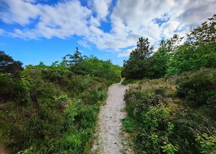 15 Person In Hals-by Traum Semesterbostad